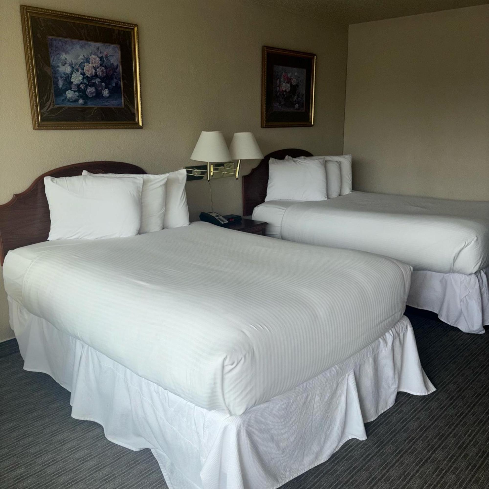 צ'ארלסטון Unique Suites Hotel מראה חיצוני תמונה