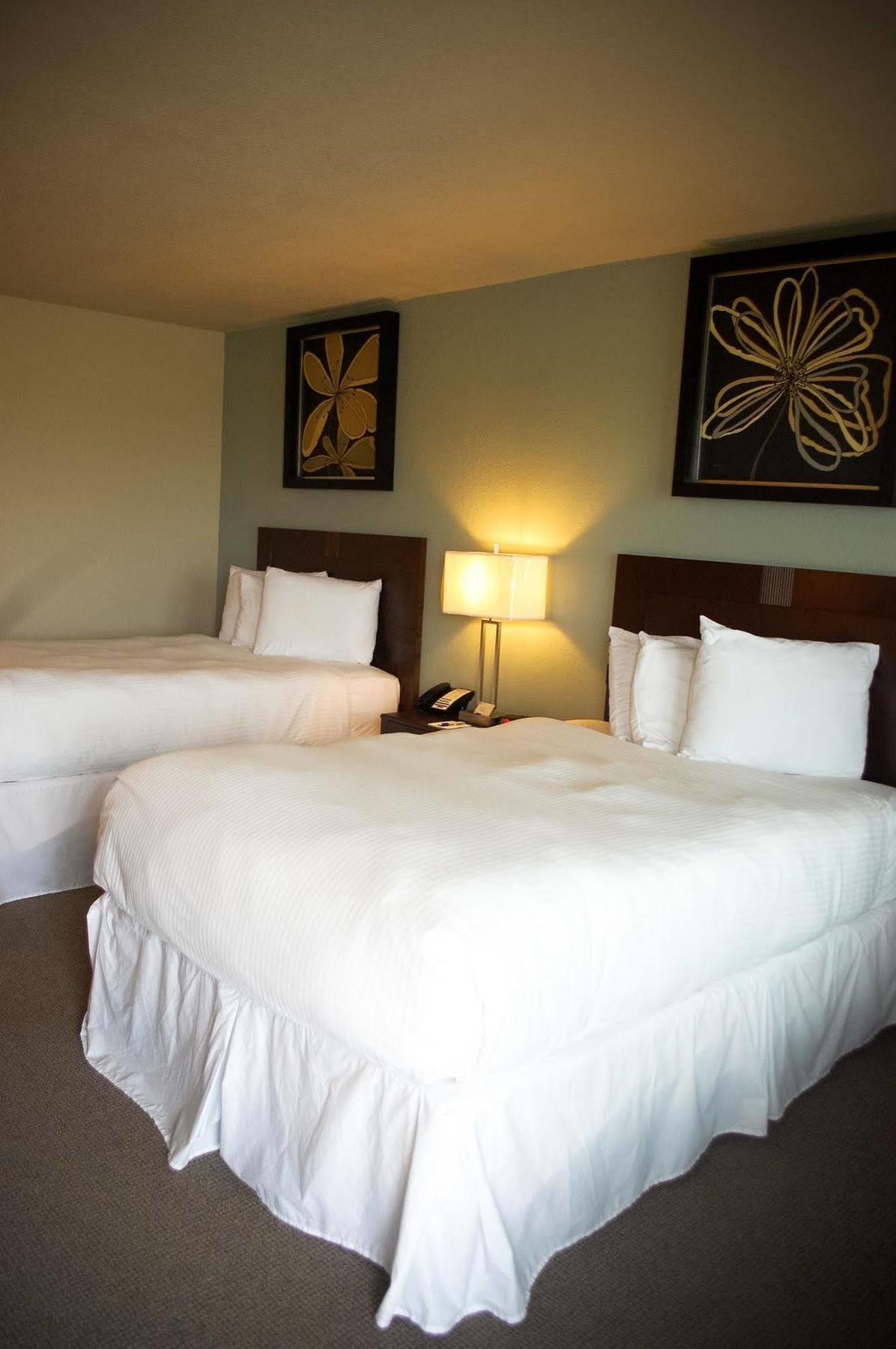 צ'ארלסטון Unique Suites Hotel מראה חיצוני תמונה